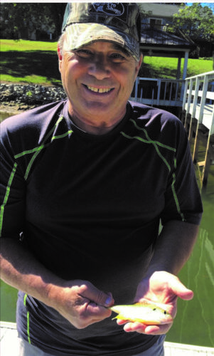 KENNETH DOMYAN